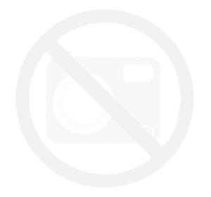 FZ Forza 216 Bright Green
