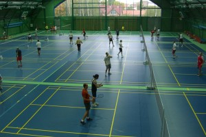 Korty do badmintona Pro Court
